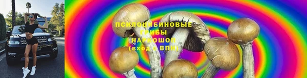 прущие грибы Алексеевка