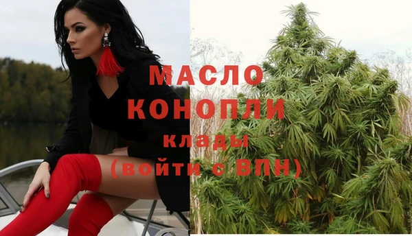 тгк Алзамай