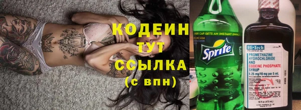 дмт Пестово