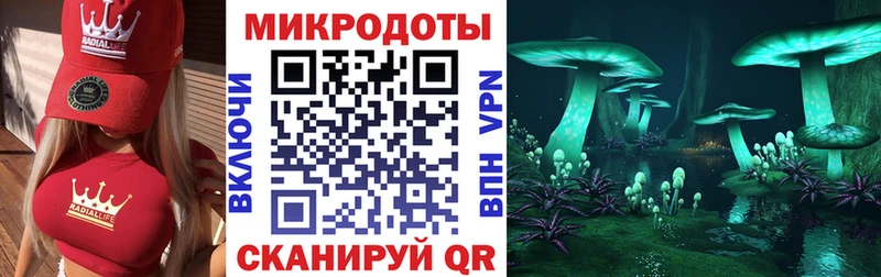 где купить наркотик  Райчихинск  Псилоцибиновые грибы мицелий 